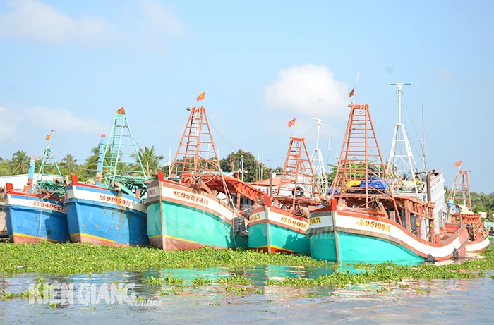 GIẢI PHÁP ĐỂ NGƯ DÂN VỮNG TIN VƯƠN KHƠI  - Bài 1: Ngư dân kiệt sức vì chi phí ra khơi